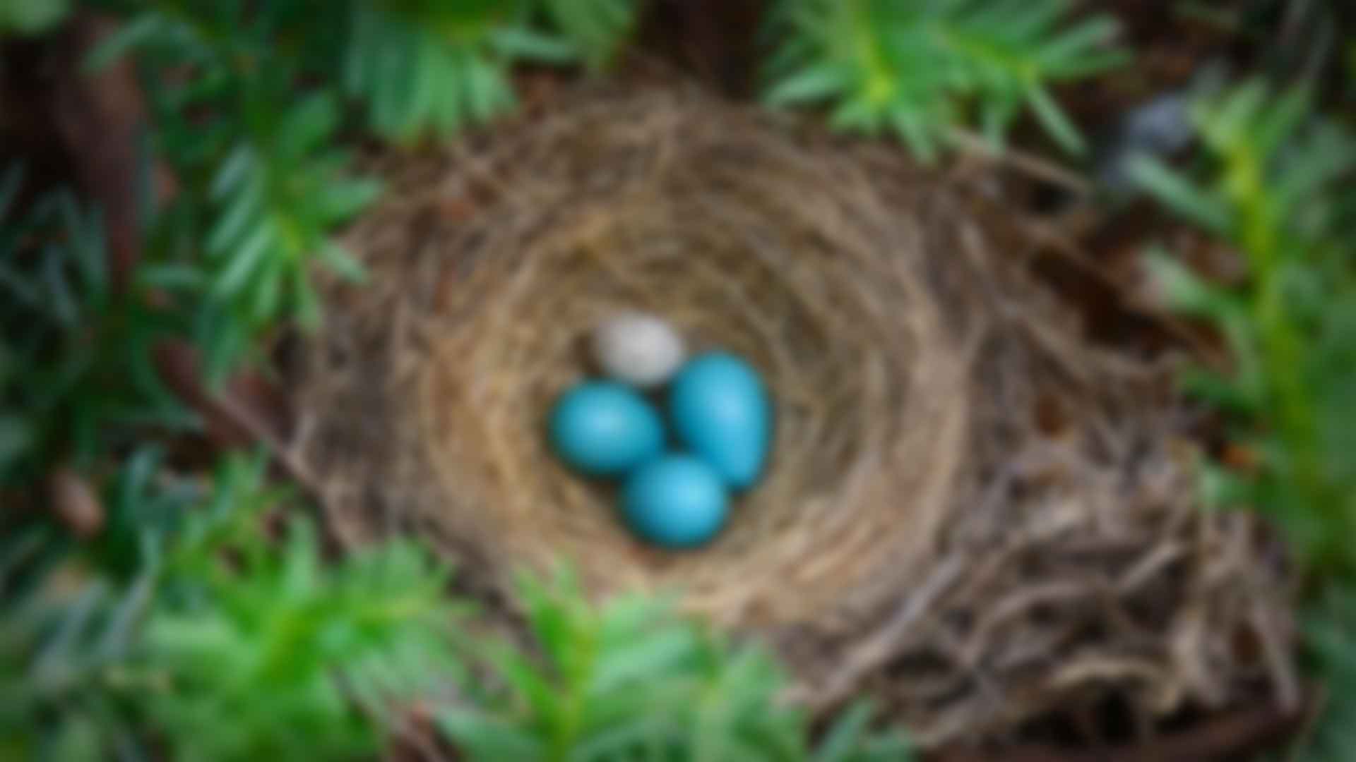 健身：擁抱健康與活力的(de)生活方式