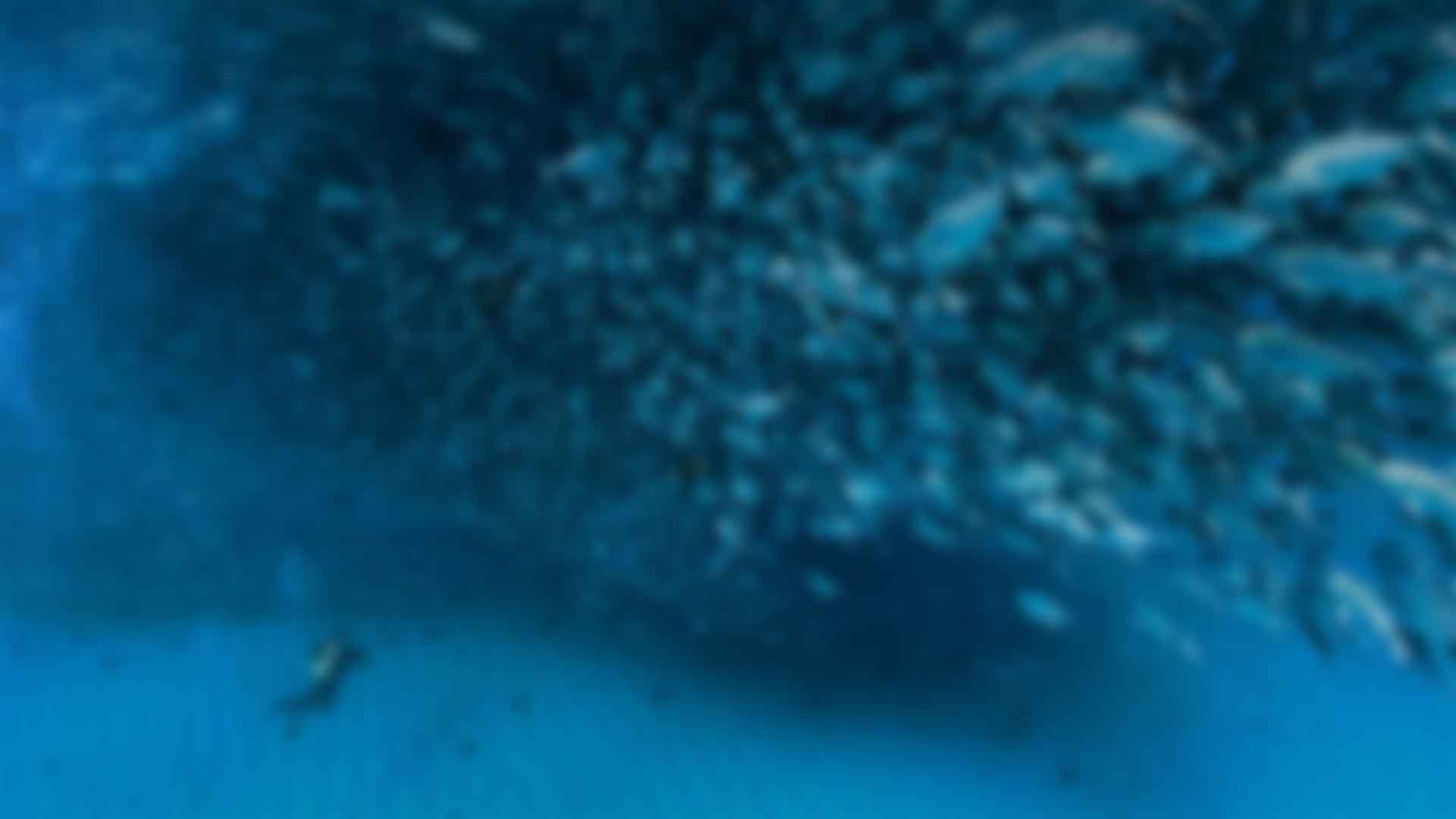 健身：擁抱健康與活力的(de)生活方式